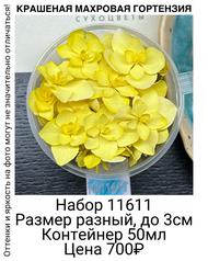 1b2c9312c87c4a768fecc86f0f4d9532