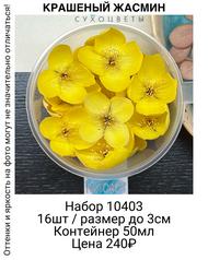 1c56f7e6003f42ecb58b37a5e473f14d