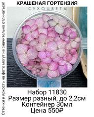 20625169247f4f6ba8e601252c57b96d