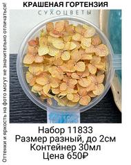 2136e665834743d68424b1ab6154226c