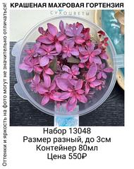 25ce6bdcd0ee485cb41a2df337c18bac