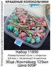 27a8c07fb17f4e4fb29d194ce0a0e0e3