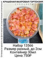 288bf2c930264c90b292072179115a8e