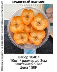 2d64c37a52c94c0b8c5d0323fa55c499