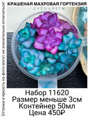 2f8b3d859b6d4d689001e24635a9ae71