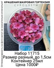 33b207e6b8a5408aadd5d49d232795db