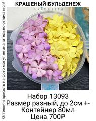 36ddf324549344cc838fc55b632e6075