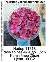 408869034b834029aa7c32a333f6f2be