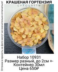 44b74a2fbed8453d8187bb39df8f7277