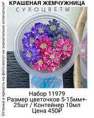 44c04b0ccda740bcb8a9e4d37d42adcd