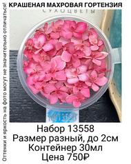 482a5a3dcc9443308fde2fa41fdc79ed