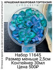 48f2d3e90af340a4a605104e768bc166