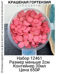 496028eac306434c9c09c0449819fa65