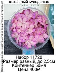 4d2b1481d0604235a88060f07a8d6c2e