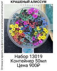 52c849048889449598ac5a8a7e769fe1