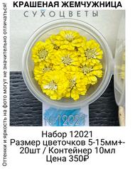 54880a5450d94c099933df2263e02714