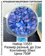 5869ea955add47aaa03d515ab9a25c98
