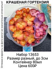 5c6335b0b2ae4468b5f797cc91ddd852