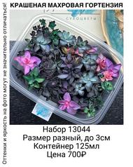 5f5a980ca4514fdda456d3987ea2e9ed