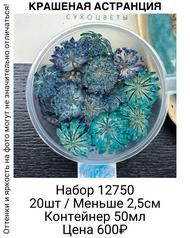 613e5426838a4f3b9c55f78ece635434