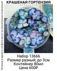 648b9cbcfa5443848695f8e1758c4641