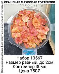 64fff34bde76488abb4665f1febf201a