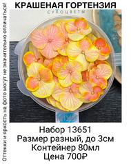 6587c3c4e335442094cdb9a8ad37d269
