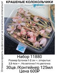 65db2439c9424ba69868ff60bed77ccf