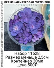 6c118e2c2fd44dba998dd02f36c914e9