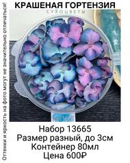 6cc87a75423a4ae9988f70a3c4cc10ae