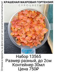6d9a52fbbcfc45fb84e4357b63d06c6f