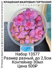 72870d2421cb45d2bb5256e1c3e6289c
