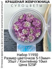 8812cbec1bc44aec99f70e6d4c50214c