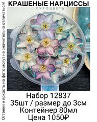 902638d4ccef41a383cf7778be8a73a5