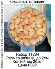 90c3a2c40e8b41a293740474ee63efc9