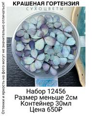 915c4346bc694765b9e0ea068f95e09a