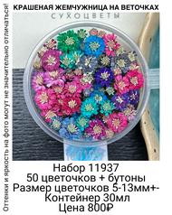 95382847058b48159e973e7ab6f802e6