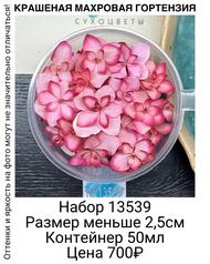 97050fb707024fb88a3631126bebd1aa