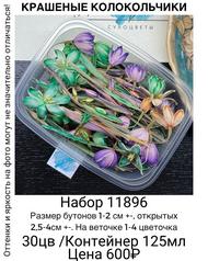 98ed4aca62544d8cba854c42f9dbe721