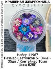 a047f656218b4875b2e529e8cca21d3a