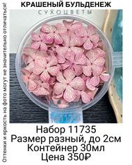 a96e2c20f54a4c43a0c9bcf17426a739