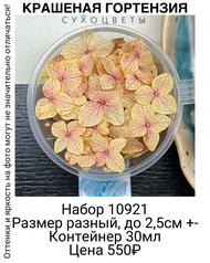 ac9f51823faa4c3eb5f926beb41eb5ad