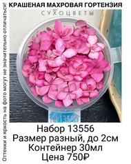 ae95fa3731a64b6a98ce15557733bf19