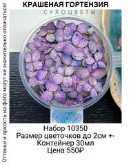 aee4c97389f74d6c857ec20d69d51172