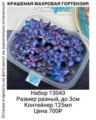 b8d7b41ecc4740f9a169c591df15c9f6