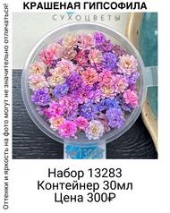 bd8c662c08ba403f8e23f1857853c337