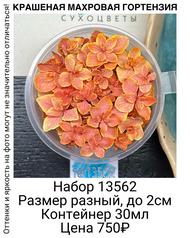 be19c8e9500640ed94bd6ec1d5cef7e2