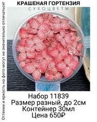 c08b3f847055477f870eed387fdc0b05