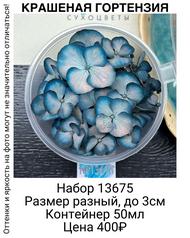 c3297289397b44aa8bb7272d67fc2e31