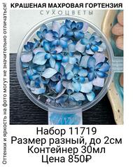 c538382538a34655a67d61d68bbcb723